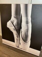 Ballerina pointes art for sale  Liberty Hill