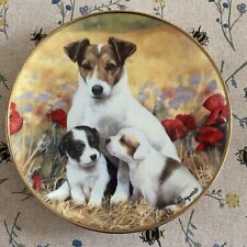 Banbury mint puppies for sale  WATFORD