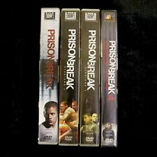 Dvd prison break usato  Orosei