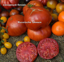 Rosyjskie nasiona pomidorów " CUCKER BISON ", nowe 2022 na sprzedaż  Wysyłka do Poland