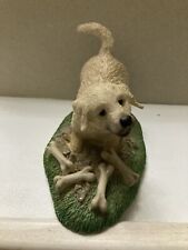 Labrador dog puppy for sale  SHANKLIN