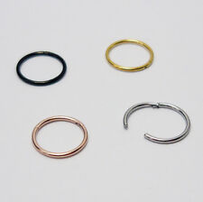 Titanium Nose Piercing Segment Ring Nose Ring Nose Ear Lips Hinge Clicker for sale  Shipping to South Africa
