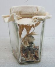fairy jar for sale  SHEFFIELD