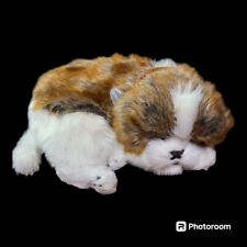 Perfect petzzz shih for sale  Woodbury