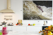 A550 Salmon Fish Swimming Upstream Animal Canvas Wall Art Framed Picture Print for sale  STRABANE
