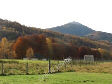 Photo 6x4 shinty for sale  Shipping to Ireland