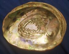 Abalone Seashell, Haliotis,  Large  (8"width), Excellent Condition for sale  Shipping to South Africa