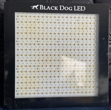 Black dog platinum for sale  Palmdale