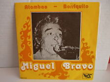 Miguel atambao borriquito d'occasion  Orvault