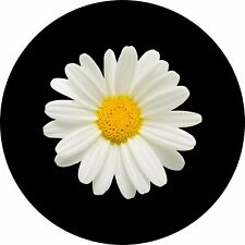 Daisy spare tire for sale  Erlanger