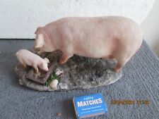 Mother pit piglet for sale  POOLE