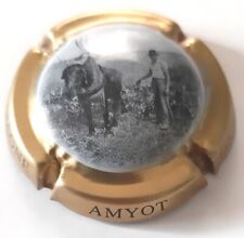 Capsule champagne amyot d'occasion  Sens