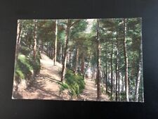 Postcard pine walk for sale  SOUTHEND-ON-SEA