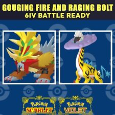 6IV Gouging Fire Raging Bolt Bundle Pokemon Scarlet and Violet for sale  Shipping to South Africa