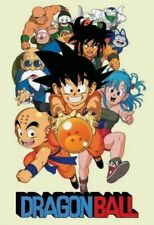 Dragon Ball: La Serie Completa DVD (SOLO Disco) LEA DESCRIPCION ANTES DE COMPRAR comprar usado  Enviando para Brazil