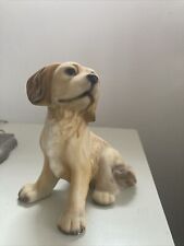 Hhh golden labrador for sale  LONDON