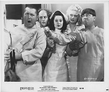 Three stooges photo for sale  Dallas