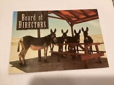 Board directors donkeys for sale  USA