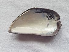 Mussel shell mother for sale  HOUGHTON LE SPRING