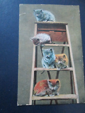 Postcard kittens step for sale  MABLETHORPE