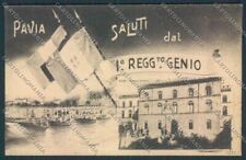 Pavia cartolina rb1454 usato  Italia