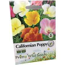 Pictorial californian poppy for sale  DARLINGTON
