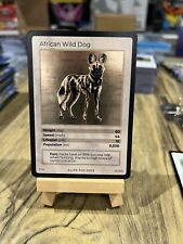 african wild dog for sale  NORTHAMPTON