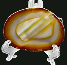 Geode slab agate for sale  Mayfield