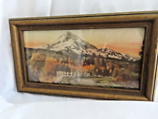 Vintage framed print for sale  Boise