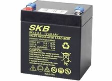 Skb 12v 2ah usato  Torino