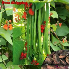 Runner bean seeds for sale  Norco