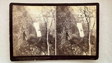 Oregon Stereoview Woman at Multnomah Falls Columbia River por Towne 1880s comprar usado  Enviando para Brazil