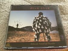 Conjunto de 2 CDs Pink Floyd Delicate Sound of Thunder, usado comprar usado  Enviando para Brazil