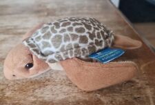 Plush beanie turtle for sale  DUNGANNON