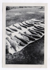 Old photo deadfish d'occasion  Expédié en Belgium