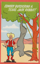 Comic postcard cowboy for sale  Massillon