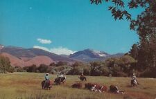 Postcard cowboys range for sale  Rochester