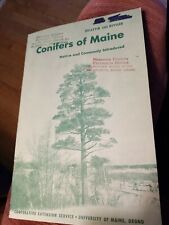 Conifers maine native for sale  Alna
