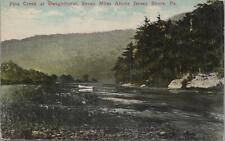 Postcard pine creek for sale  Collegeville