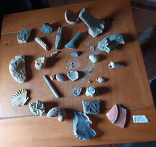 Rocks, Fossils & Minerals for sale  LIMAVADY
