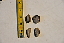 Four pieces raw for sale  Free Soil