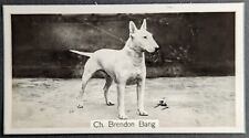 Bull terrier 1938 for sale  Reading