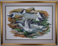 Herring gulls rockpool. for sale  LEYBURN