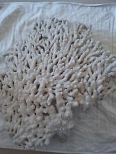 Corallo bianco madre usato  Guidonia Montecelio
