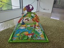 fisher price deluxe gebraucht kaufen  Osthofen