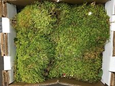 Fresh sheet moss. for sale  Arlington