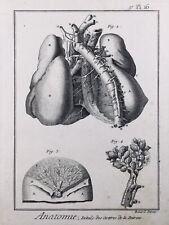 Angiología 1779 Sinistra Pulmones Medicina Anatomía Grabado Encyclopédie Diderot comprar usado  Enviando para Brazil