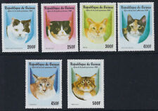 Cats guinea 1998 for sale  HARLESTON