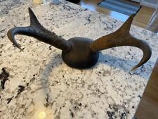 wall mounted horns gazelle for sale  Bridgeport