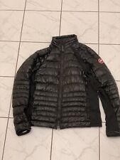 Canada goose hybridge for sale  COLWYN BAY